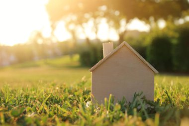 Çim, Bahçe, orman veya güneş ışığı Park'ta vintage evde görüntüsünü