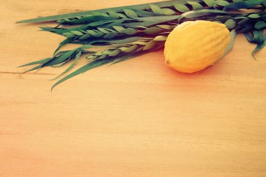 Sukkot Yahudi bayramı. Geleneksel Semboller (dört tür): Etrog, lulav, hadas, arava