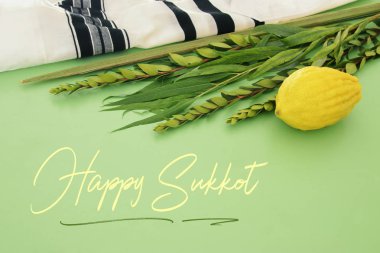Jewish festival of Sukkot. Traditional symbols (The four species): Etrog, lulav, hadas, arava clipart