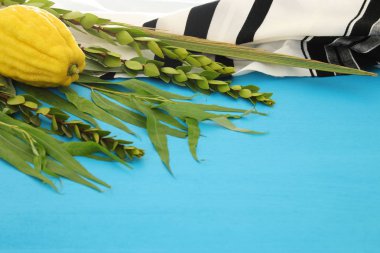 Sukkot Yahudi bayramı. Geleneksel Semboller (dört tür): Etrog, lulav, hadas, arava
