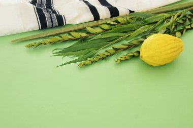 Sukkot Yahudi bayramı. Geleneksel Semboller (dört tür): Etrog, lulav, hadas, arava