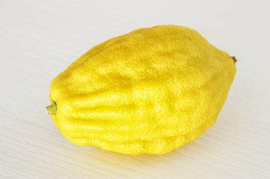Sukkot Yahudi Bayramı. Beyaz ahşap zemin üzerinde Etrog (limon) geleneksel sembolü (dört tür bir)