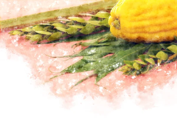 suluboya stil ve soyut resim Sukkot Yahudi festival. Geleneksel Semboller (dört tür): Etrog, lulav, hadas, arava