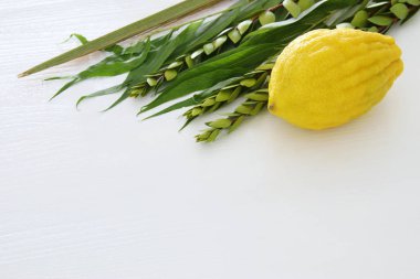 Sukkot Yahudi bayramı. Geleneksel Semboller (dört tür): Etrog, lulav, hadas, arava