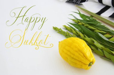 Sukkot Yahudi bayramı. Geleneksel Semboller (dört tür): Etrog, lulav, hadas, arava