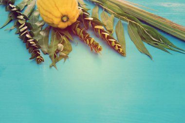 Jewish festival of Sukkot. Traditional symbols (The four species): Etrog, lulav, hadas, arava clipart