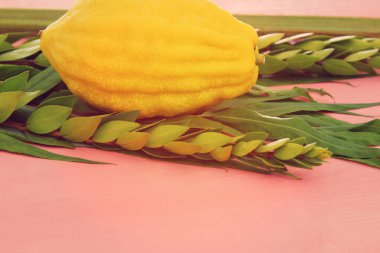 Sukkot Yahudi bayramı. Geleneksel Semboller (dört tür): Etrog, lulav, hadas, arava