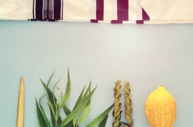 Sukkot Yahudi bayramı. Geleneksel Semboller (dört tür): Etrog, lulav, hadas, arava