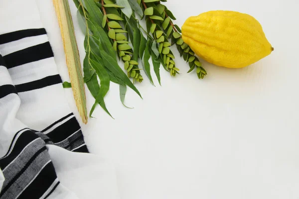 Židovský Festival Sukot Tradiční Symboly Čtyři Druhy Etrog Lulav Hadas — Stock fotografie