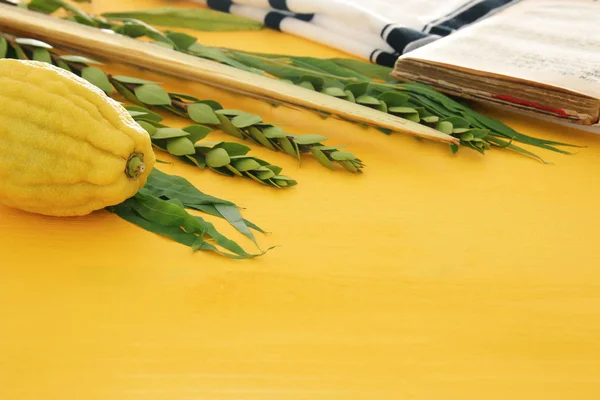 Zsidó Fesztivál Sukkot Hagyományos Szimbólumok Négy Faj Etrog Lulav Hadas — Stock Fotó