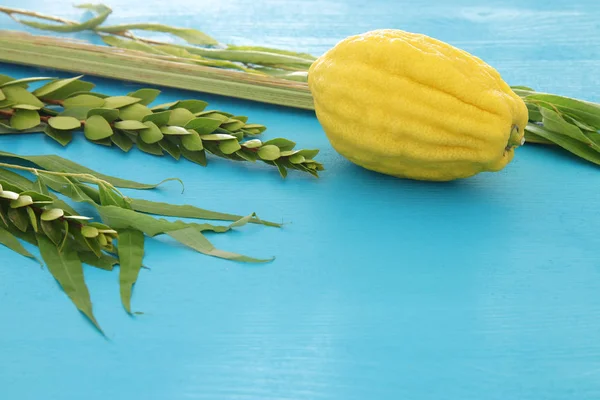 Jewish Festival Sukkot Traditional Symbols Four Species Etrog Lulav Hadas — Stock Photo, Image