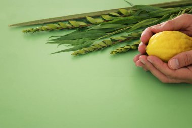Sukkot Yahudi bayramı. Geleneksel Semboller (dört tür): Etrog, lulav, hadas, arava