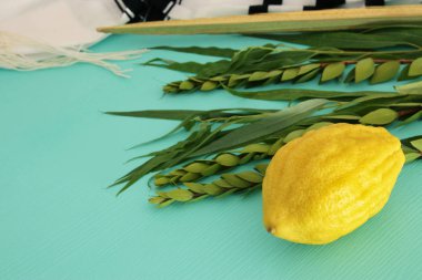 Sukkot Yahudi bayramı. Geleneksel Semboller (dört tür): Etrog, lulav, hadas, arava