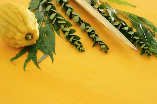 Jewish Festival Sukkot Traditional Symbols Four Species Etrog Lulav Hadas — Stock Photo, Image