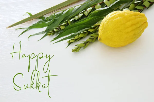 Festa Ebraica Sukkot Simboli Tradizionali Quattro Specie Etrog Lulav Hadas — Foto Stock