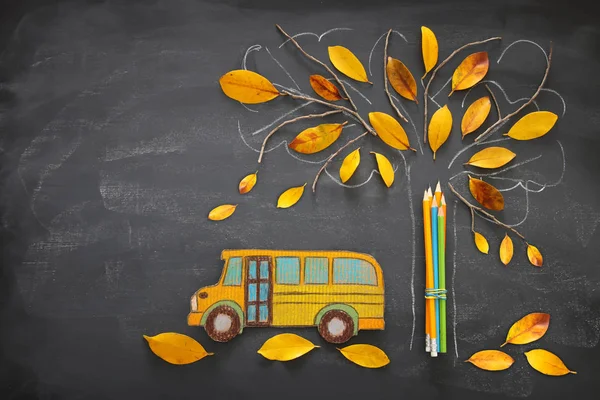 回到学校的概念 顶部视图图像校车和铅笔旁边的树素描与秋季干树叶在教室黑板背景 — 图库照片