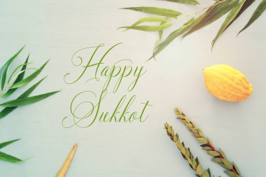 Sukkot Yahudi bayramı. Geleneksel Semboller (dört tür): Etrog, lulav, hadas, arava