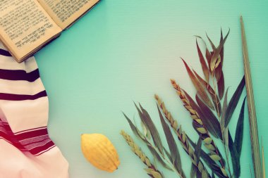 Sukkot Yahudi bayramı. Geleneksel Semboller (dört tür): Etrog, lulav, hadas, arava