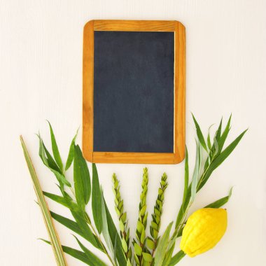 Sukkot Yahudi bayramı. Geleneksel Semboller (dört tür): Etrog, lulav, hadas, arava