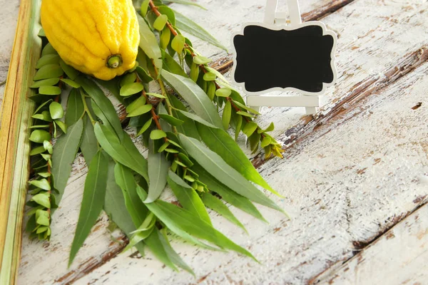 Sukkot Yahudi bayramı. Geleneksel Semboller (dört tür): Etrog, lulav, hadas, arava