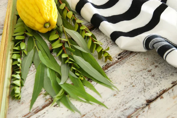 Sukkot Yahudi Bayramı Geleneksel Semboller Dört Tür Etrog Lulav Hadas — Stok fotoğraf