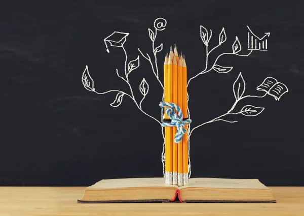 Back to school concept. tree of knowledge sketch and pencils over open book in front of classroom blackboard