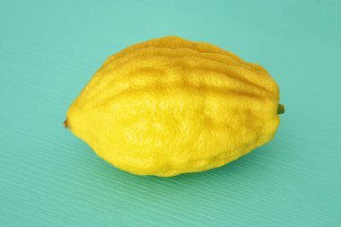 Sukkot Yahudi Bayramı. Nane ahşap arka plan üzerinde Etrog (limon) geleneksel sembolü (dört tür bir)