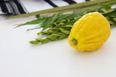 Sukkot Yahudi bayramı. Geleneksel Semboller (dört tür): Etrog, lulav, hadas, arava