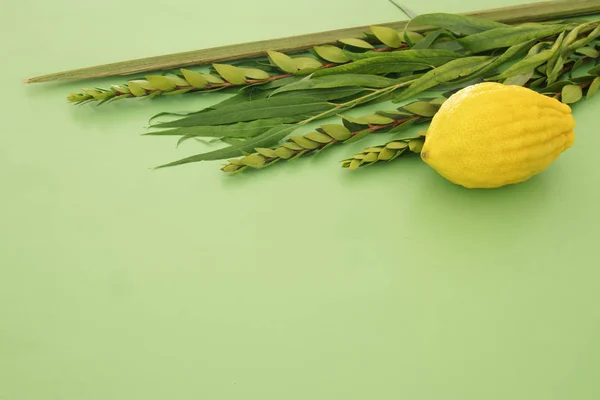 Židovský Festival Sukot Tradiční Symboly Čtyři Druhy Etrog Lulav Hadas — Stock fotografie