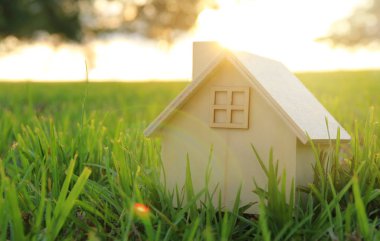 Vintage evde ot, Bahçe veya park adlı günbatımı ışık görüntü