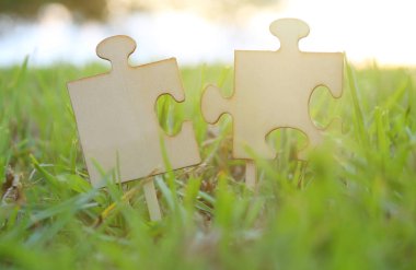 İki çimenlerde Mercek parlaması ile günbatımı süre içinde yer adet bulmaca. yaratıcılık ve bağlantı fikir