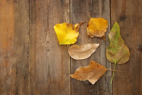 Top View Image Autumn Leaves Wooden Textured Background — Stock Photo, Image