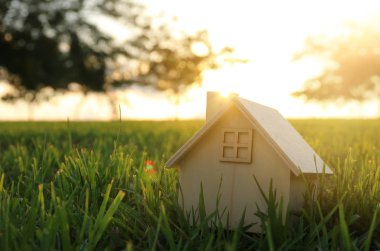 Vintage evde ot, Bahçe veya park adlı günbatımı ışık görüntü