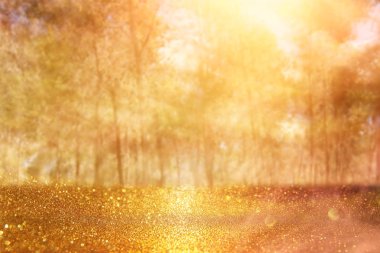Ağaçlar arasında ışık patlaması ve parlak altın bokeh ışıklarının bulanık fotoğrafı.