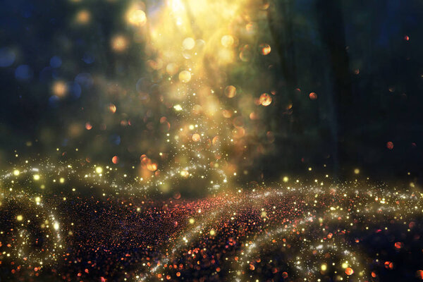 Blurred abstract photo of light burst among trees and glitter golden bokeh lights