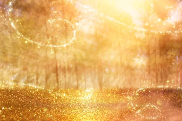 Blurred Abstract Photo Light Burst Trees Glitter Golden Bokeh Lights — Stock Photo, Image