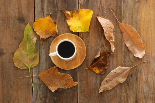 桌面上的咖啡杯和干燥的秋叶的顶部图像 — 图库照片