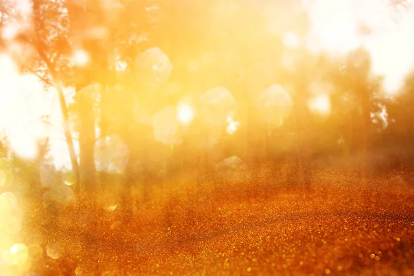 Blurred Abstract Photo Light Burst Trees Glitter Golden Bokeh Lights — Stock Photo, Image