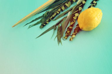 Sukkot Yahudi bayramı. Geleneksel Semboller (dört tür): Etrog, lulav, hadas, arava