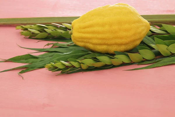 Festa Ebraica Sukkot Simboli Tradizionali Quattro Specie Etrog Lulav Hadas — Foto Stock