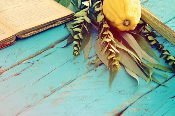 Sukkot Yahudi Bayramı Geleneksel Semboller Dört Tür Etrog Lulav Hadas — Stok fotoğraf