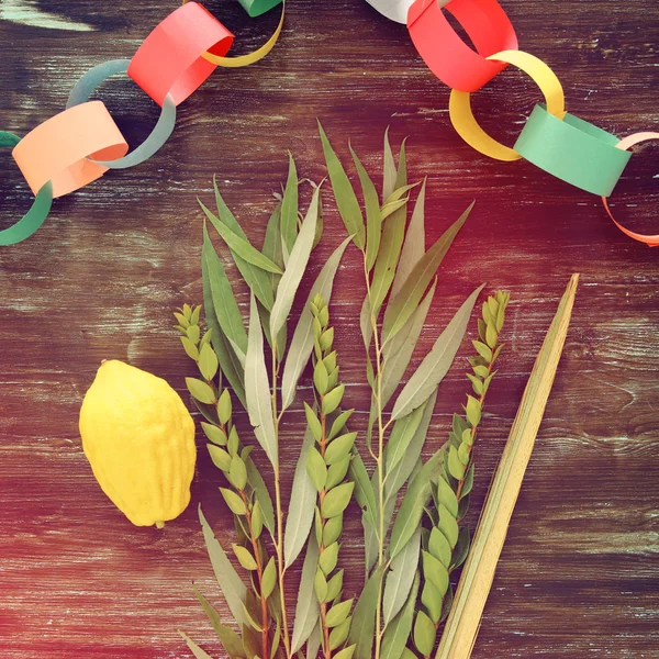 Judisk Festival Sukkot Traditionella Symboler Fyra Arterna Etrog Lulav Hadas — Stockfoto