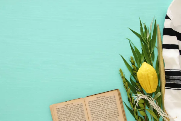 Jewish Festival Sukkot Traditional Symbols Four Species Etrog Lulav Hadas — Stock Photo, Image