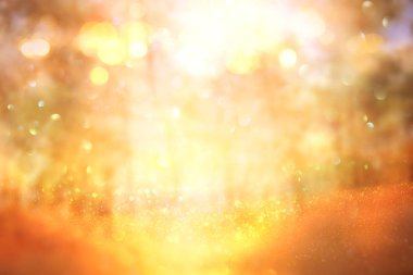 Ağaçlar arasında ışık patlaması ve parlak altın bokeh ışıklarının bulanık fotoğrafı.