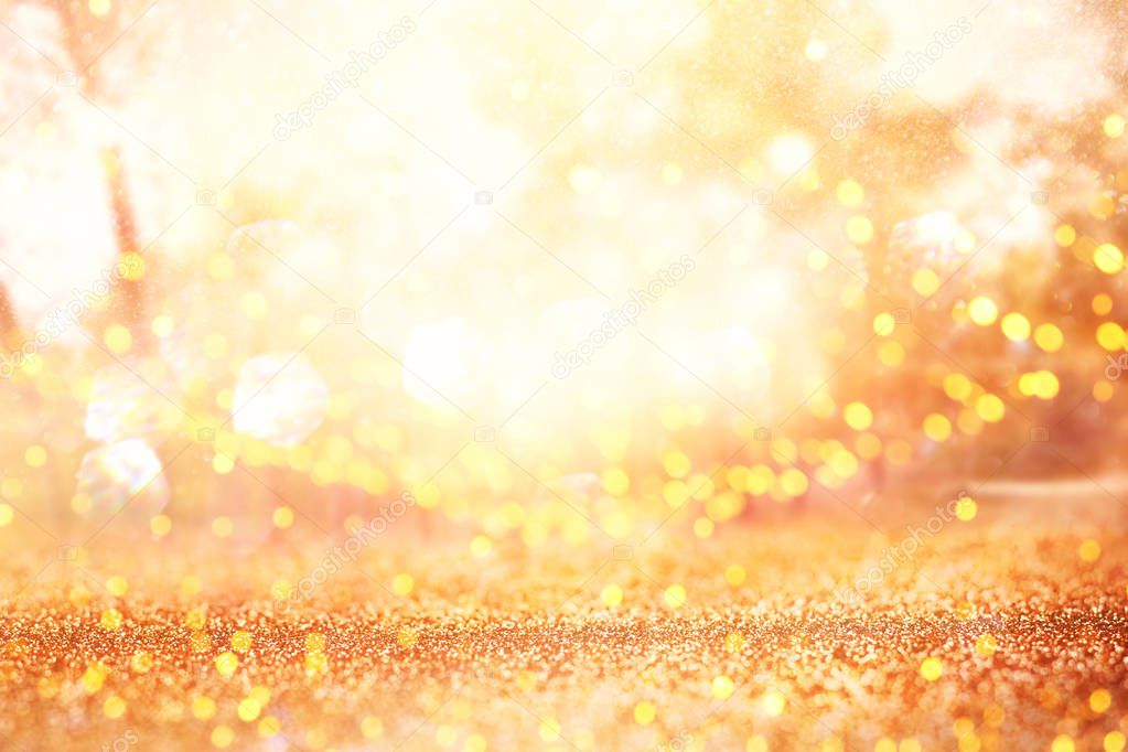 blurred abstract photo of light burst among trees and glitter go