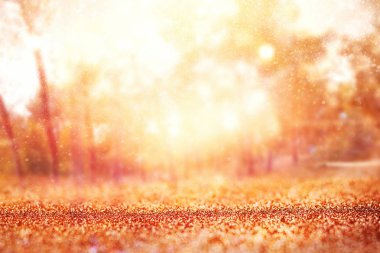 Ağaçlar arasında ışık patlaması ve parlak altın bokeh ışıklarının bulanık fotoğrafı.