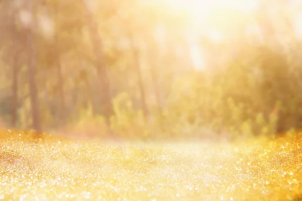 Ağaçlar Arasında Işık Patlaması Parlak Altın Bokeh Işıklarının Bulanık Fotoğrafı — Stok fotoğraf