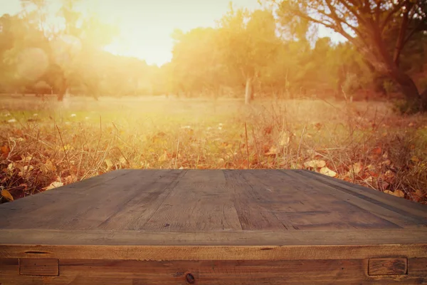 Gambar papan kayu pedesaan depan dan latar belakang daun musim gugur di hutan — Stok Foto