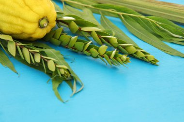Sukkot Yahudi bayramı. Geleneksel Semboller (dört tür): Etrog, lulav, hadas, arava