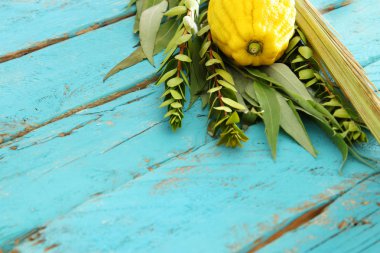 Sukkot Yahudi bayramı. Geleneksel Semboller (dört tür): Etrog, lulav, hadas, arava